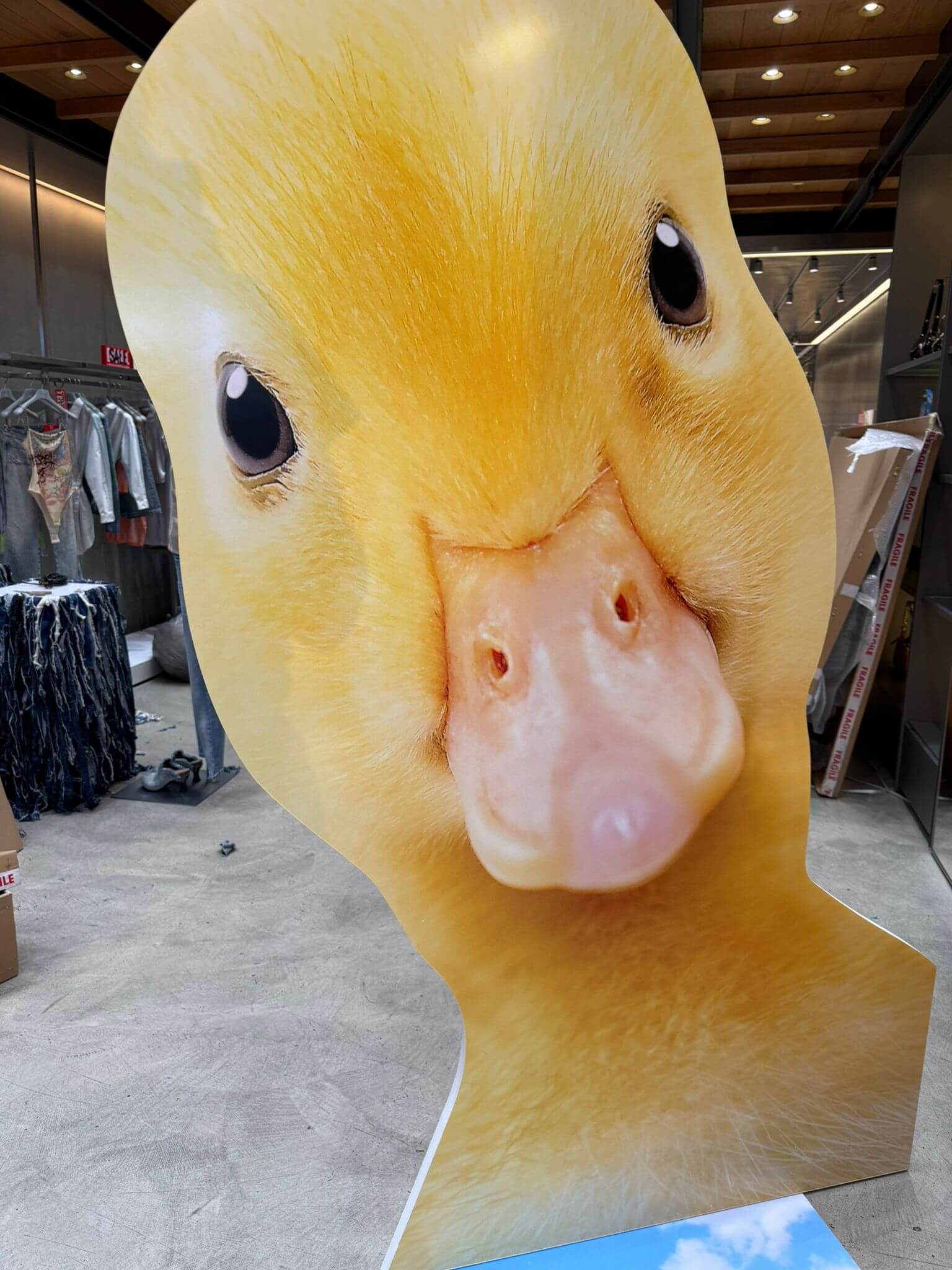 diesel-duck-you-2